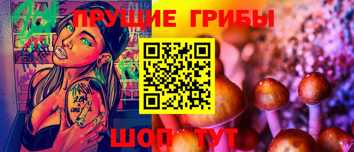 Псилоцибиновые грибы Psilocybe  Вход с VPN  Бугульма 